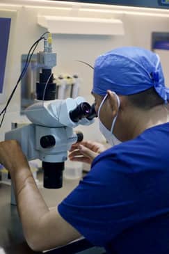 Slider image (6) IREGA Cancun